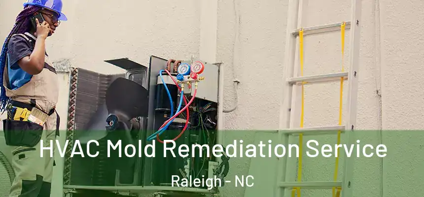 HVAC Mold Remediation Service Raleigh - NC