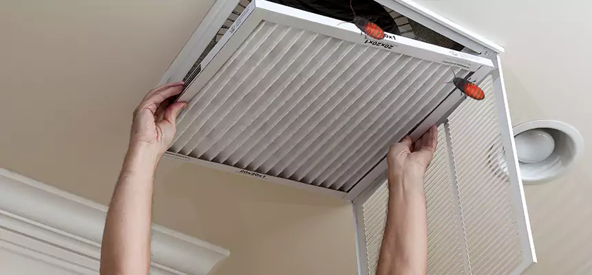 Preventive Cockroach-Proofing for Ducts in Raleigh