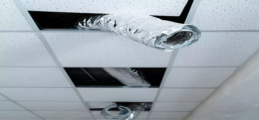 Affordable HVAC Sanitizing After Pest Removal in Raleigh