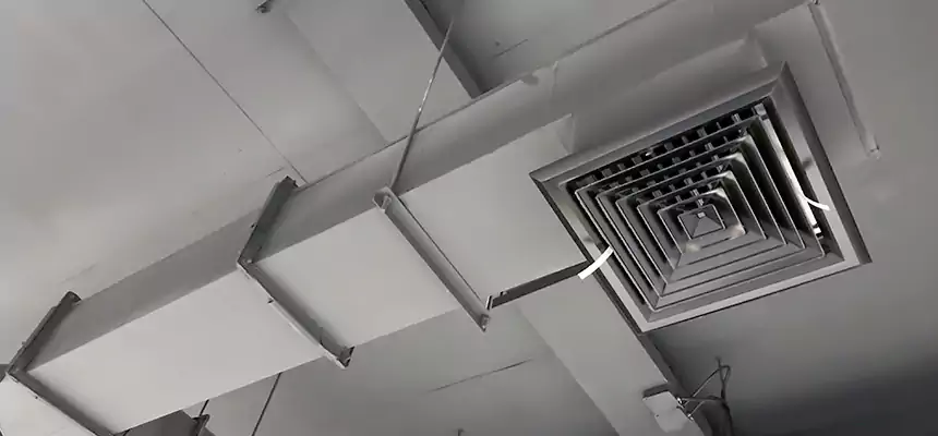 Our Rodent Droppings In Vents Services in Raleigh, NC