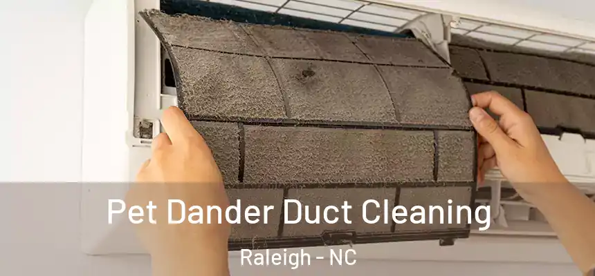 Pet Dander Duct Cleaning Raleigh - NC