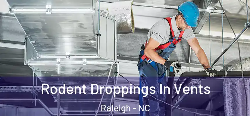 Rodent Droppings In Vents Raleigh - NC