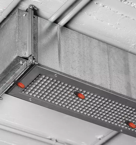 About Air Duct Cockroach Removal in Raleigh, NC