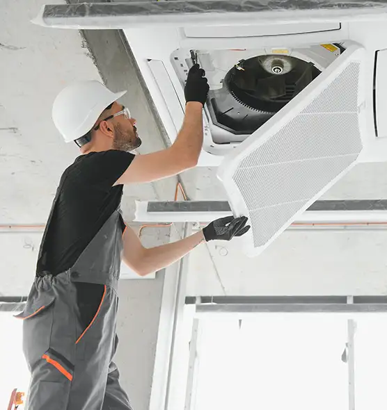 About Air Duct Rodent Removal in Raleigh, NC