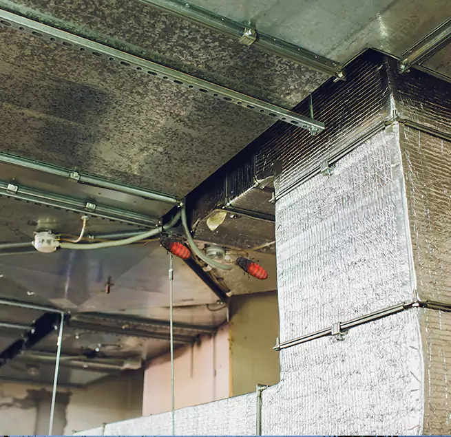 Why Homeowners & Businesses Trust Us in Raleigh, NC?