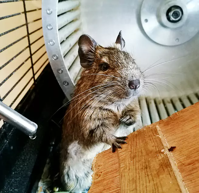 Why Homeowners & Businesses Trust Us Raleigh, NC?