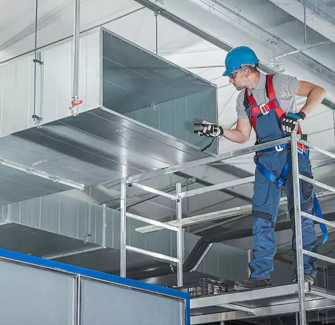 Why Homeowners & Businesses Trust Us in Raleigh, NC?