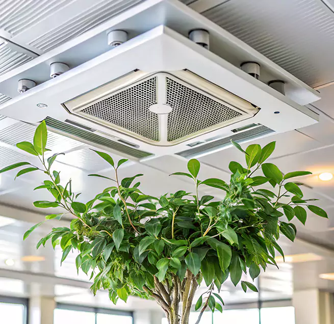 Why Homeowners & Businesses Trust Us in Raleigh, NC