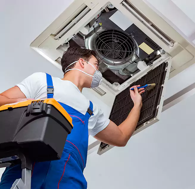 Why Homeowners & Businesses Trust Us in Raleigh, NC?