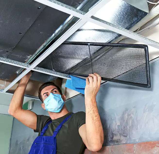 Why Homeowners Businesses Trust Us in Raleigh, NC